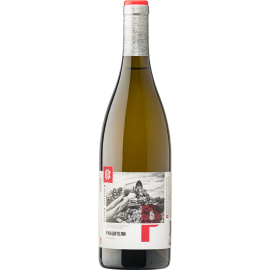 Kuban-Vino Rkatsiteli dry white 2019 Kuban-Vino Rkatsiteli dry white 2019